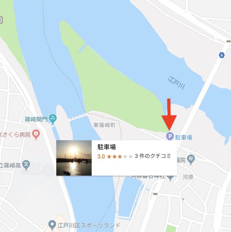 2019 江戸川 放 水路 ハゼ